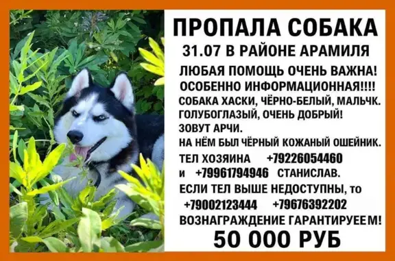 Пропала собака, Свердловская область