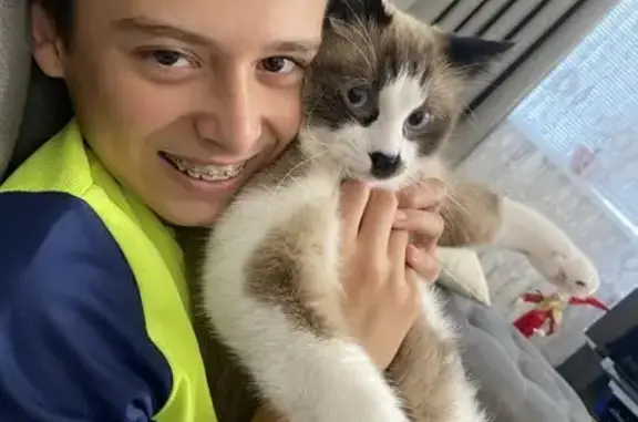 Пропала сиамская кошка, Молодёжный 3