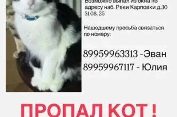 Пропала кошка, наб. Карповки, 30, СПб
