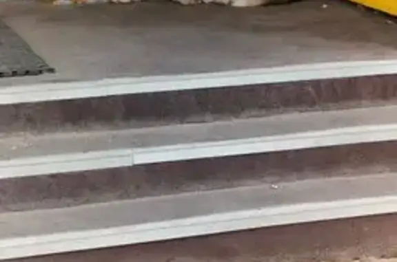 Собака с раной, Видная ул., 6/1, Маркова