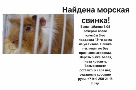 Другой найден: ул. Германа Тит...