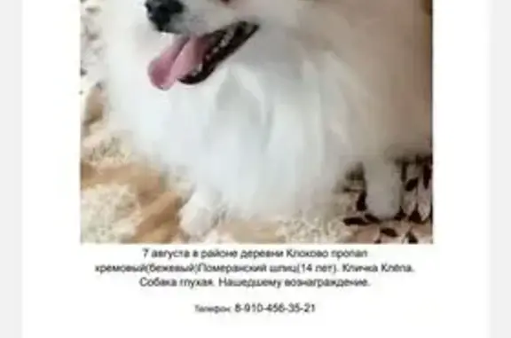 Поиск домашних животных, фото: Пропала собака, Москва, ул. Глухая, 36