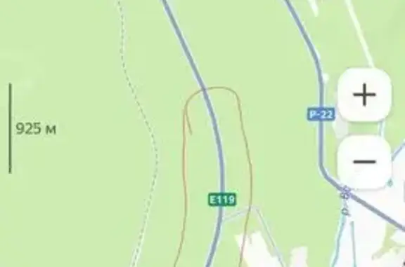 Найдена кошка, , фото: Кошка найдена у жд моста, Грибановское поселение