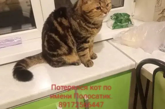 Пропала кошка, Песочная ул., Казань