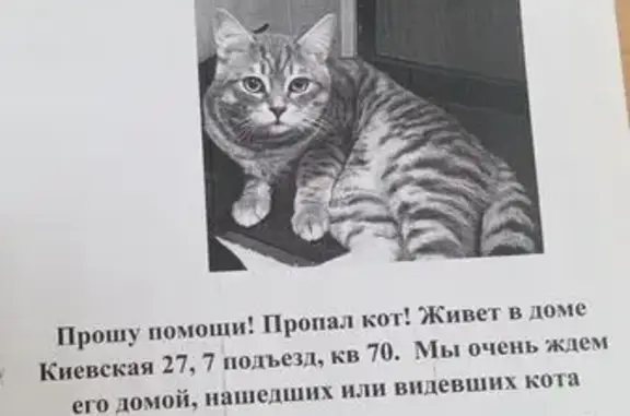 Пропала кошка, Киевская ул., 27, Советский