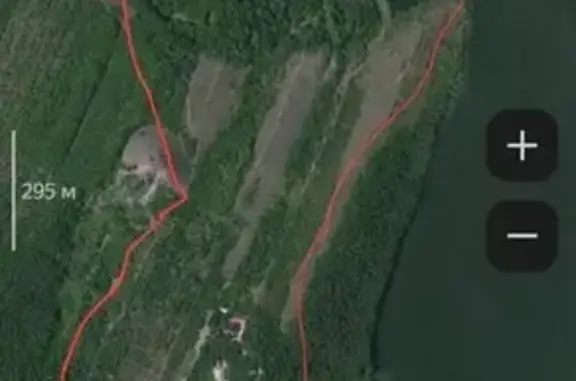 Пропала собака, ул. Баженова, Енакиево