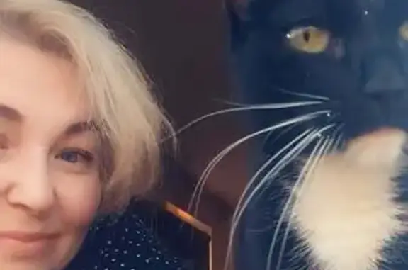 Пропала кошка, Чумбарова-Лучинского 40 к1