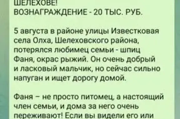 Пропала собака, Олха, Иркутская область