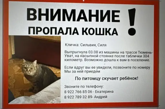 Пропала кошка: Р-404, Надцынское СП