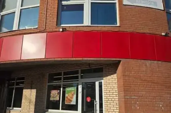 Собака найдена на Батюшкова, 11, Череповец