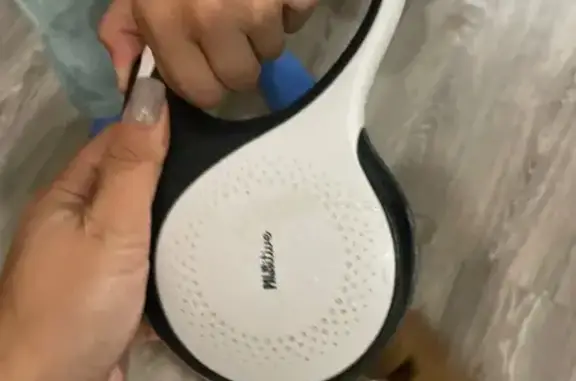 Найдена собака, ул. М. Горького, 7А, Тула