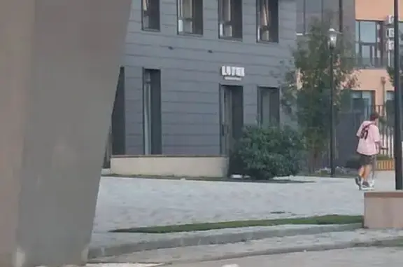 Найдена собака, Новосибирск, фото: Собака найдена у Ривер Парк, Обская 46/2