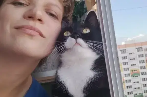 Пропала кошка, Якова Павлова 5 к2