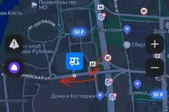 Найдена собака, , фото: Найдена собака, Мякинино, проезд 5019