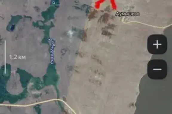 Пропала собака, Таштимеровский с/с, РБ