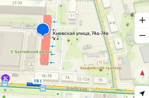 Калининград: найдена кошка, Киевская 80