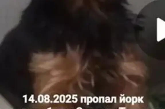 Пропала собака, Мордвесское с/п