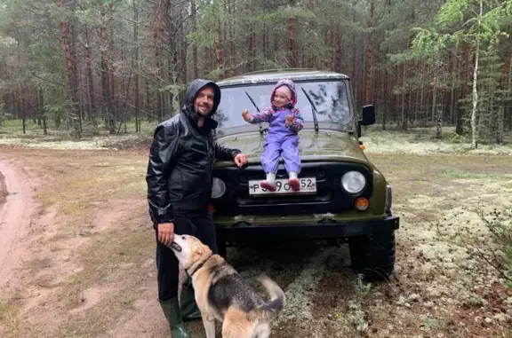 Пропала собака, Нижегородская область