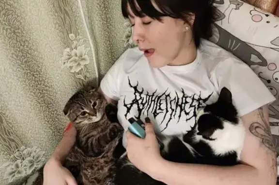 Пропала кошка, ул. Мичурина, 11