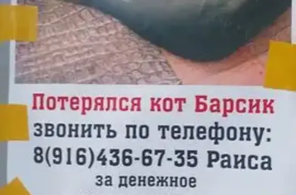 Пропала кошка, Ангарская ул. 21, Москва