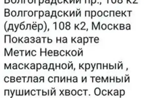 Пропала кошка, Волгоградский пр. 108 к2