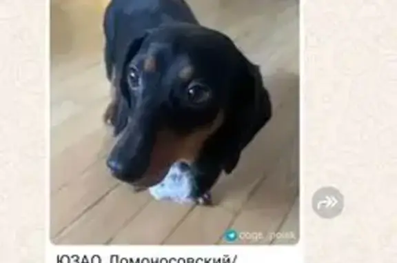 Найдена такса: ул. Пилюгина, 14 к3, Москва