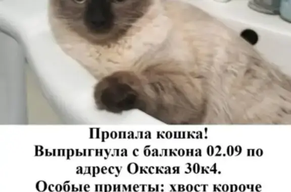 Пропала тайская кошка, Окская ул. 30 к4