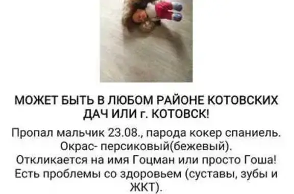 Пропала собака, ул. Свободы, Котовск