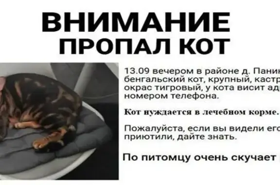 Пропала кошка, Константиновское СП