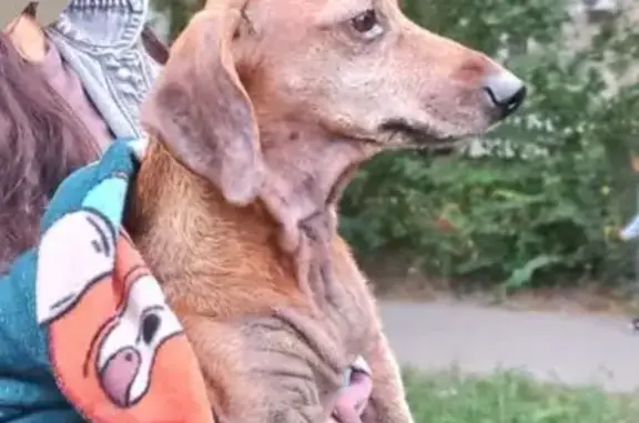 Такса найдена: ул. 148-й Черниговской Дивизии, 6