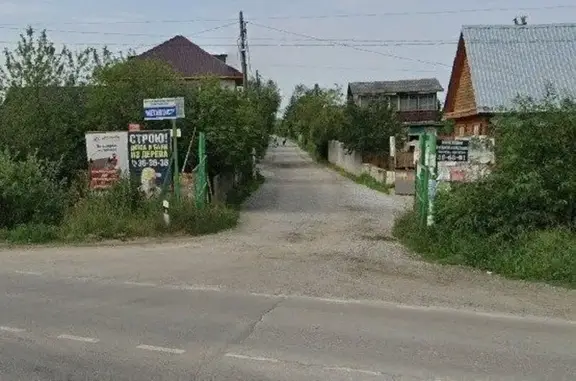 Найдена хаски у СНТ 