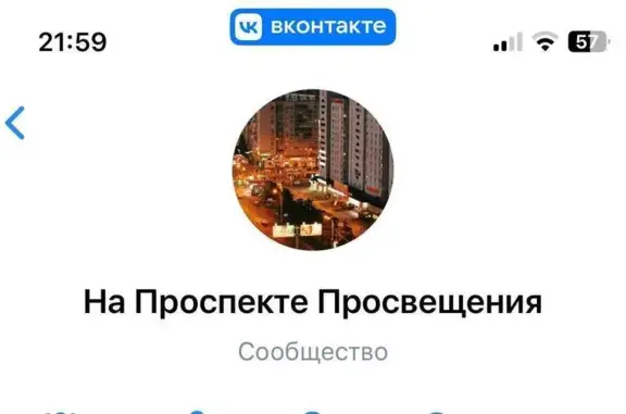 Пропала собака, Придорожная аллея 31, СПб