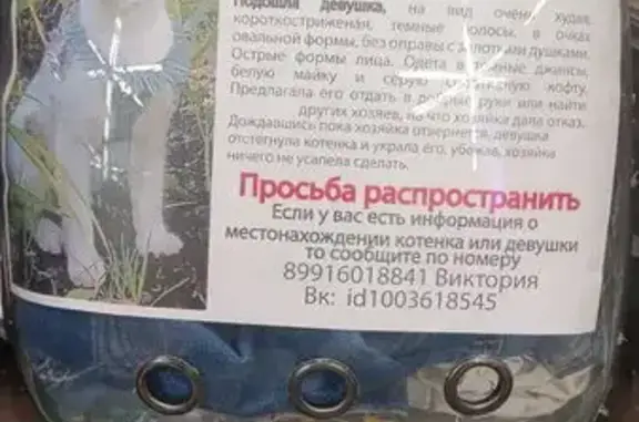 Пропал котёнок у м. Новогиреево, Зелёный проспект