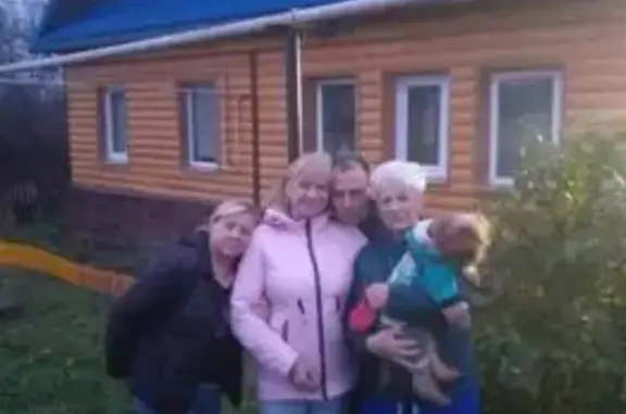 Собаки потеряшки, Нижний Новгород, фото: Потеряшка собака, ул. 50-летия Победы, 3