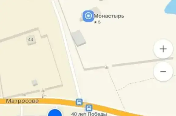 Найдена собака, Красный Ключ, фото: Спаниель найден на ул. Матросова, Красный Ключ