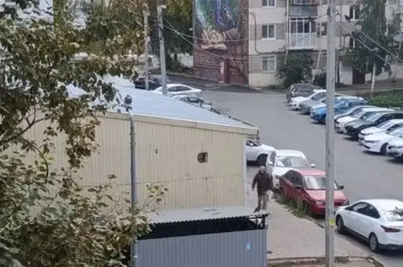 Собака найдена: ул. Татарстан, 52, Казань