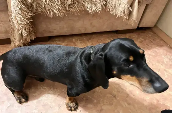 Такса найдена: ул. Степана Разина, 17, Томск