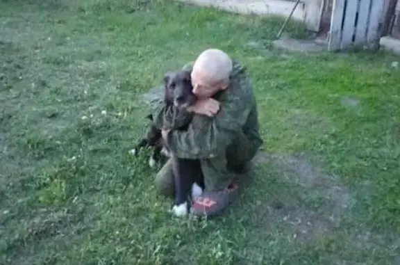 Пропала собака, Грузинское с/п