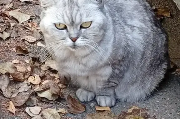 Британка найдена на Бутлерова, 22, СПб