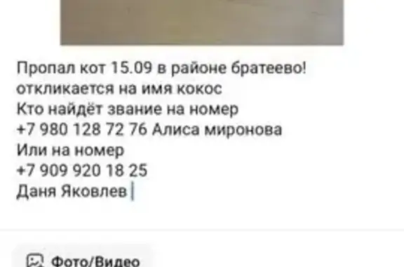 Пропала кошка, Алма-Атинская ул. 5, Москва