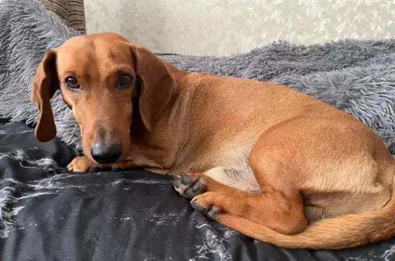 Такса найдена: ул. Анохина, 35, Чита