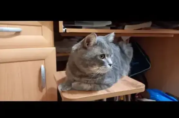 Пропала висловка, Самарская обл.