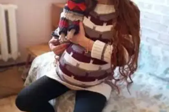 Пропала собака, Гарнизонный пер., Ростов-на-Дону