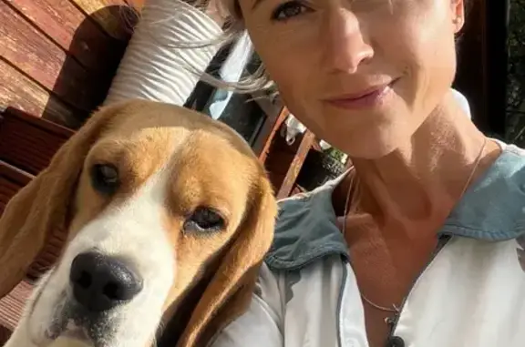 Пропала собака, Куда, Иркутская область