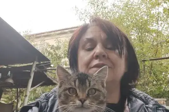 Пропала кошка, Юцкая 73, Ессентукская