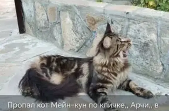 Пропала кошка, ул. Ишбулдина, Ишимбай