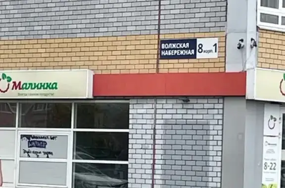 Кот найден: Волжская наб., 8 к1, Н. Новгород