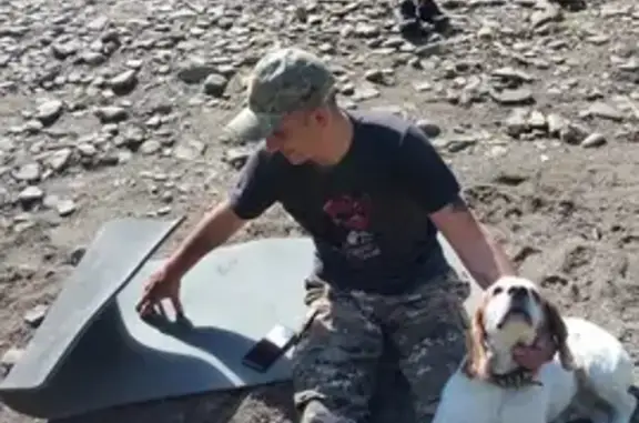 Пропала собака, Широкая ул., 19