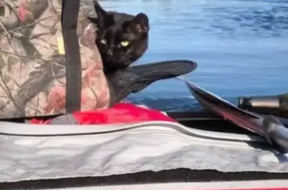 Пропала чёрная кошка, Ski 5 km, Куйвозово