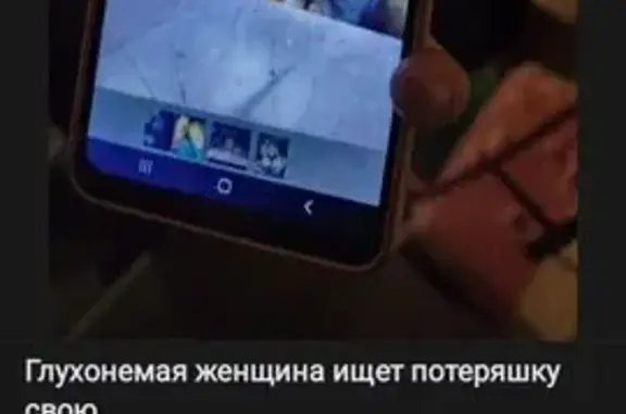 Пропала собака, Пензенская обл.